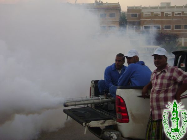 صور الرش والحملات (6)