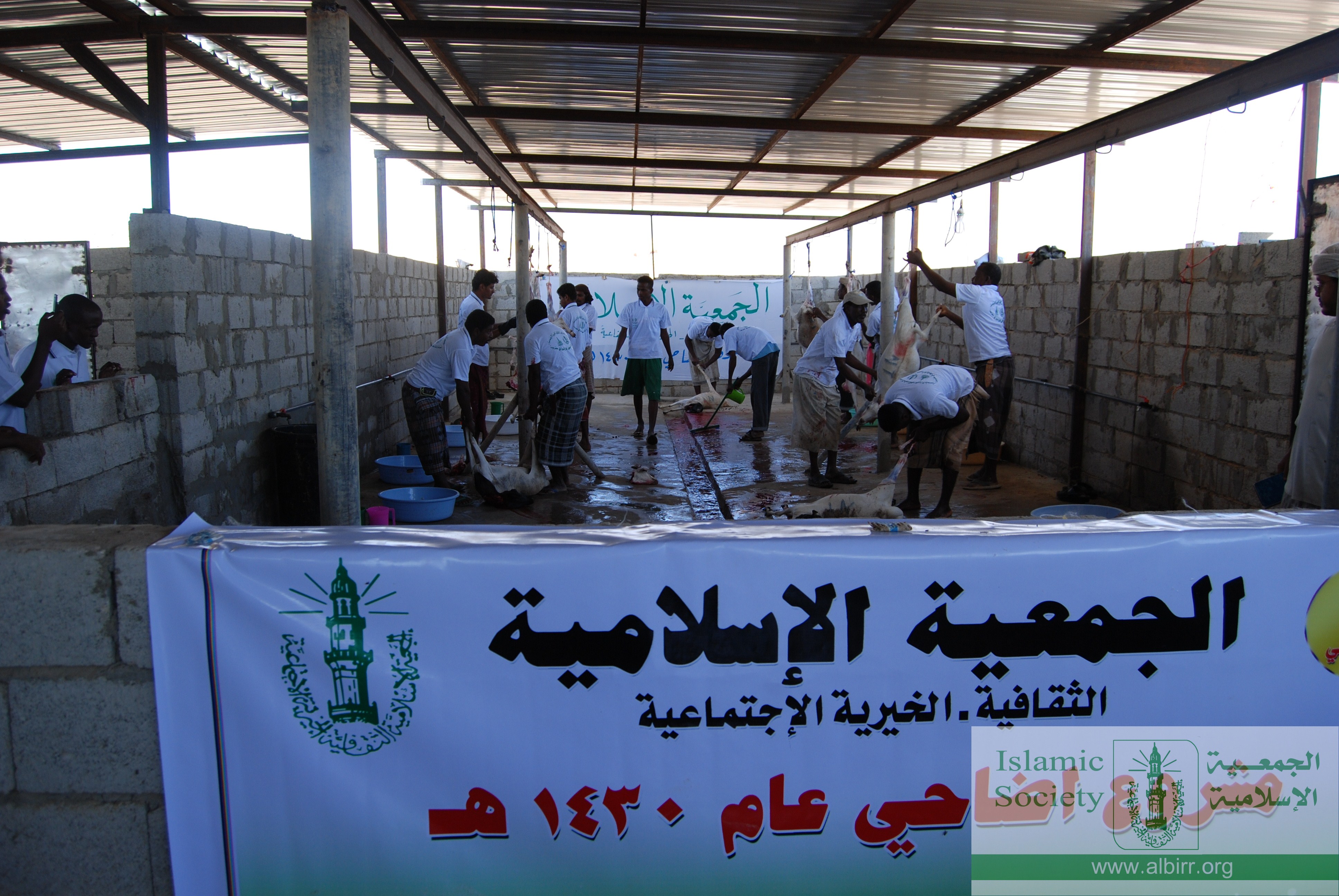 صور مشروع اضاحي 1430هـ