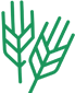 الغذاء icon